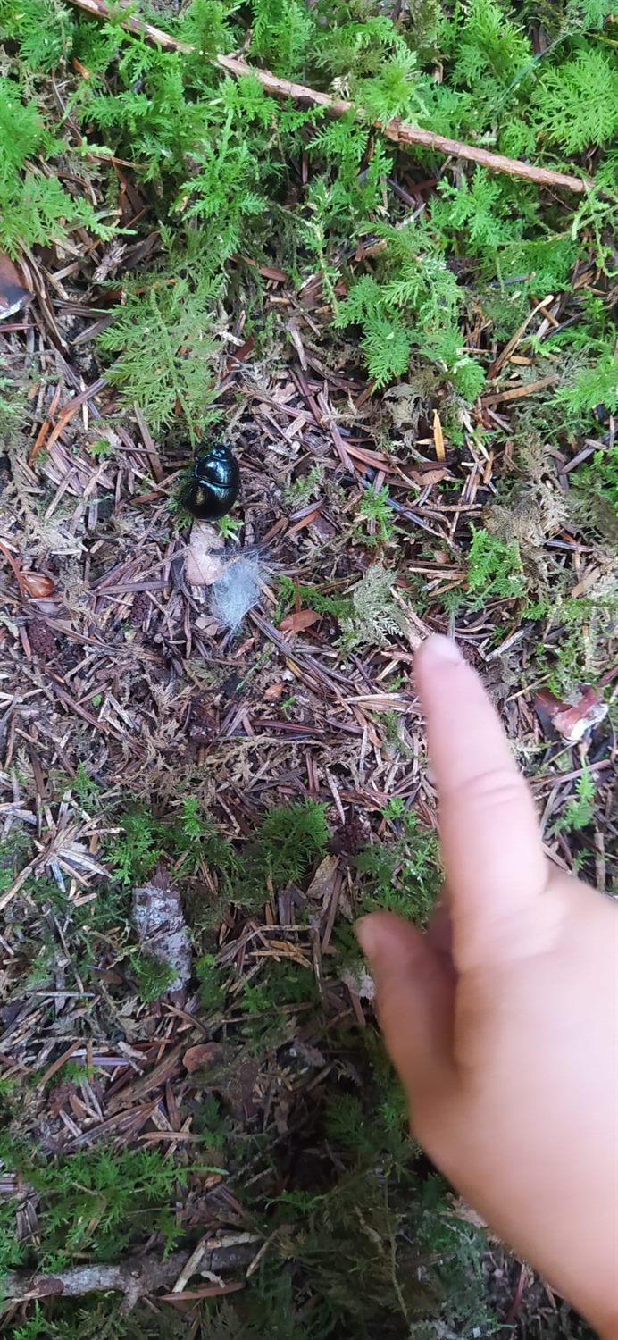 Eine Hand berührt achtsam Pflanzen am Boden